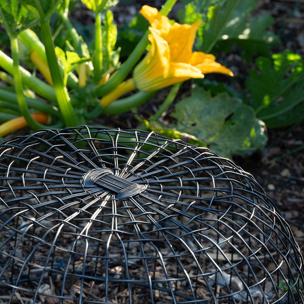 Cloche/basket - antique pewter