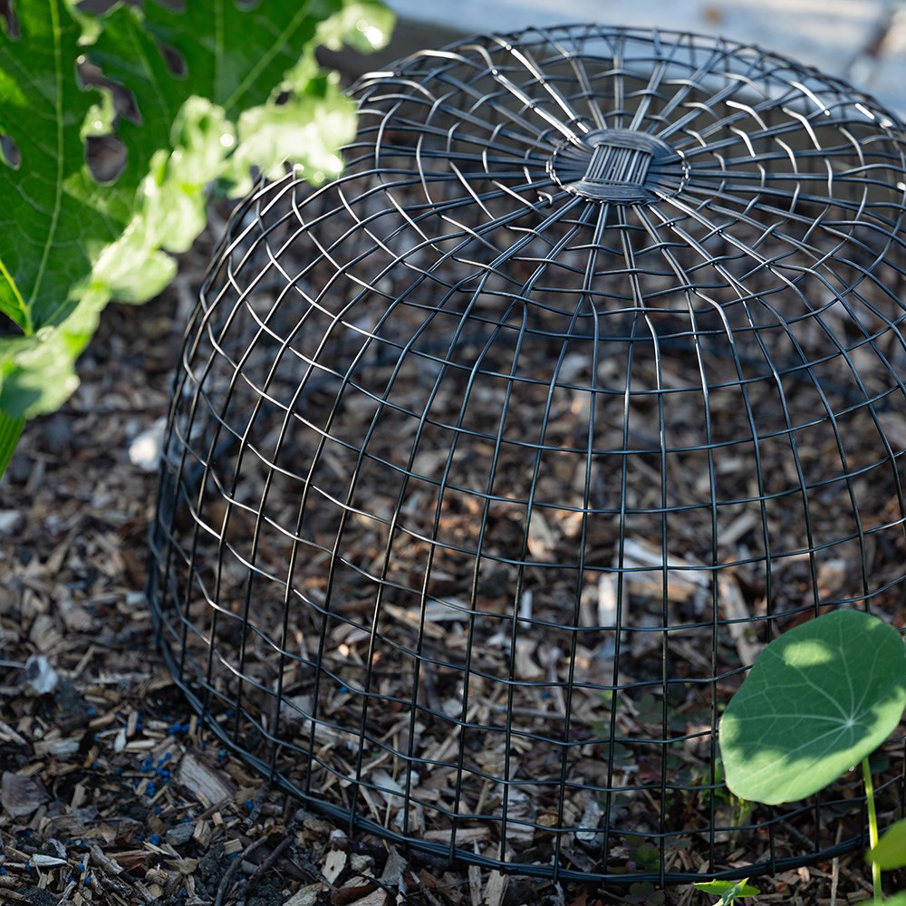 Cloche/basket - antique pewter