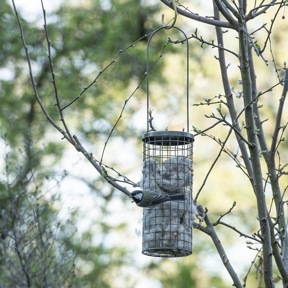 Bird nesting wool dispenser