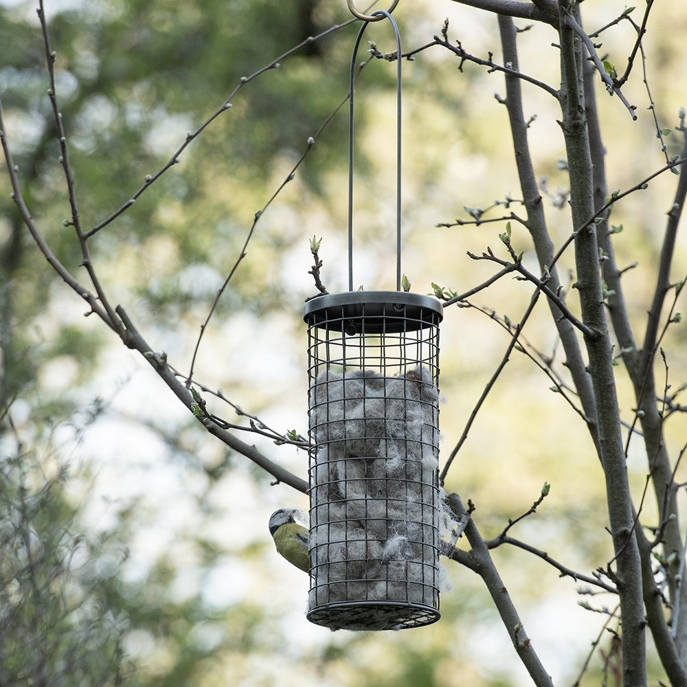 Bird nesting wool dispenser