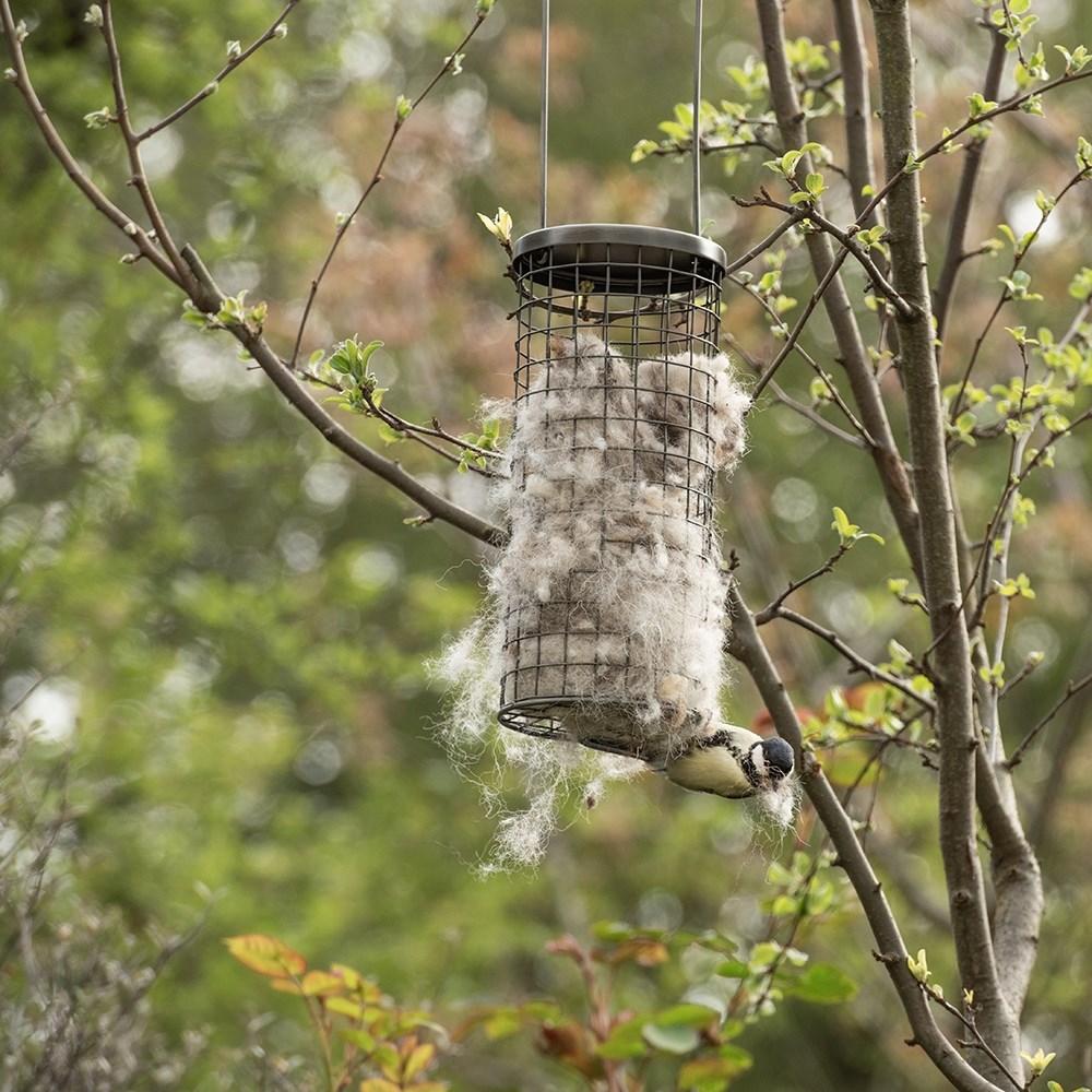 Bird nesting wool dispenser