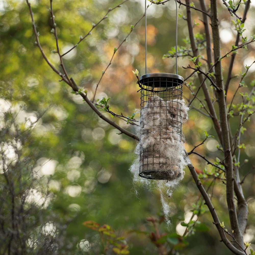 Bird nesting wool dispenser