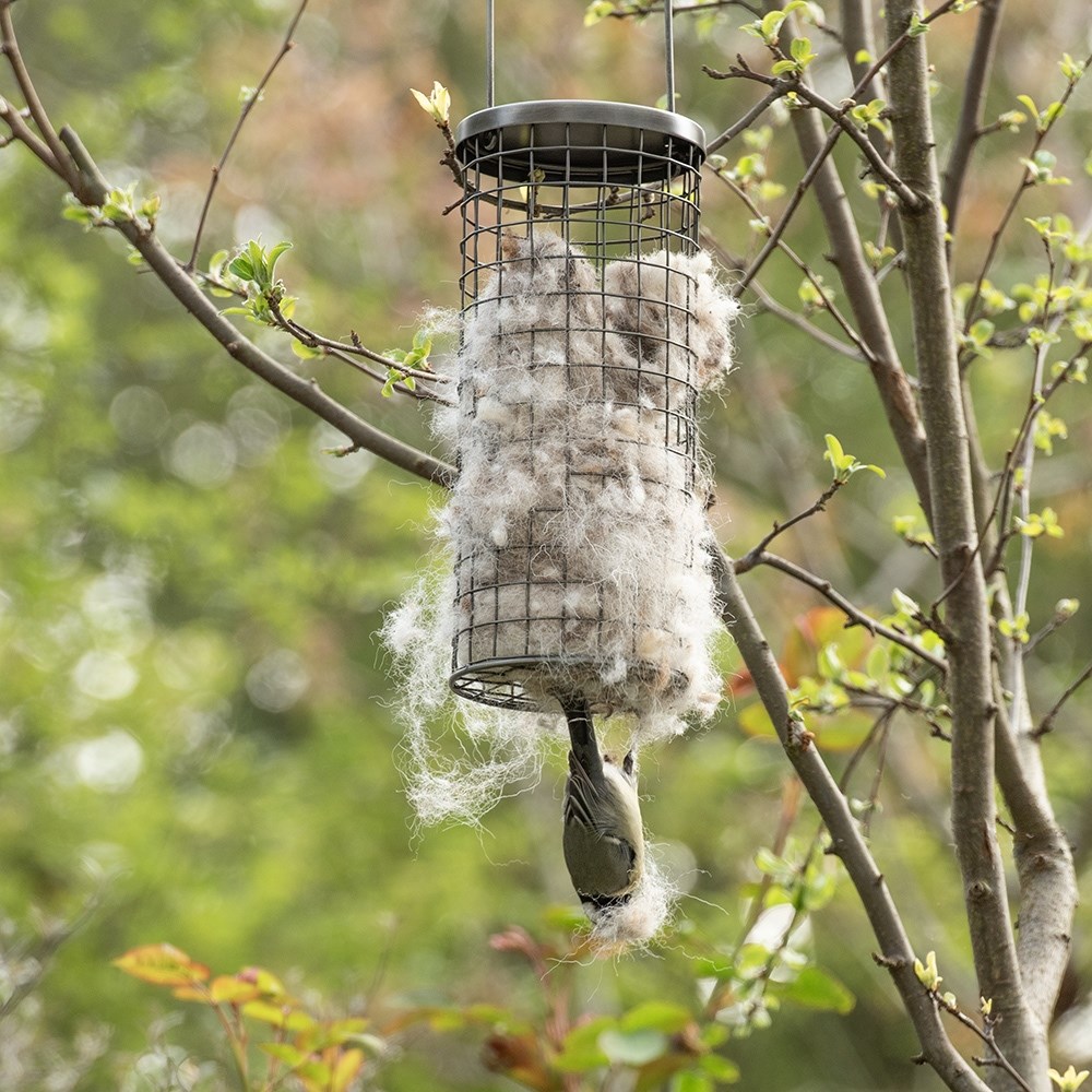 Bird nesting wool dispenser