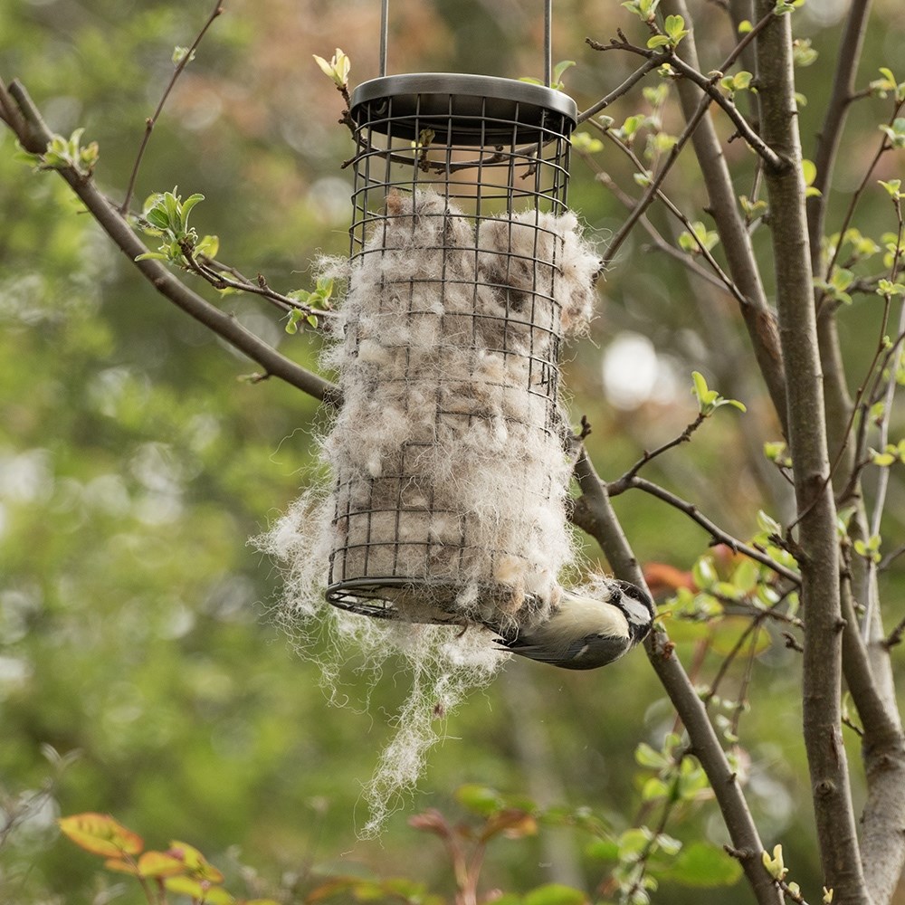 Bird nesting wool dispenser