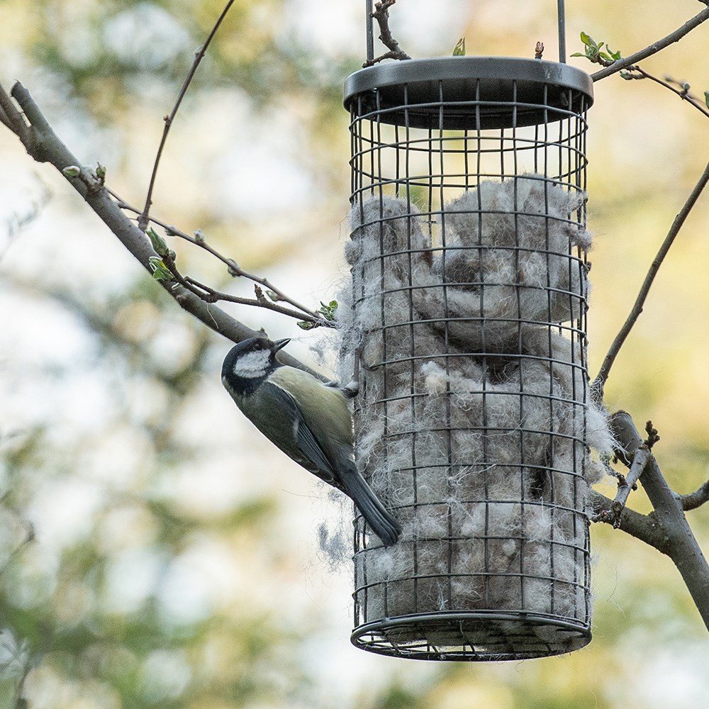 Bird nesting wool dispenser