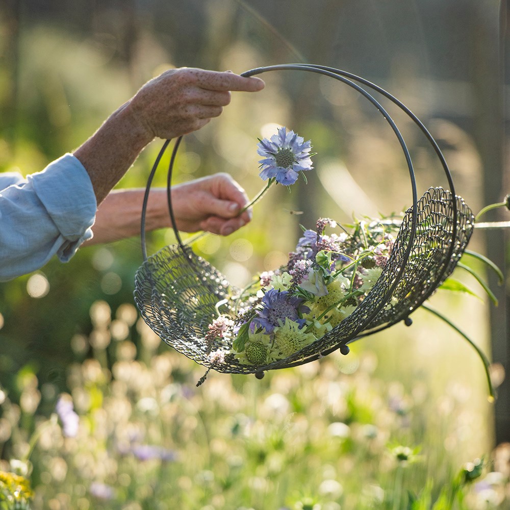 Sweet pea trug