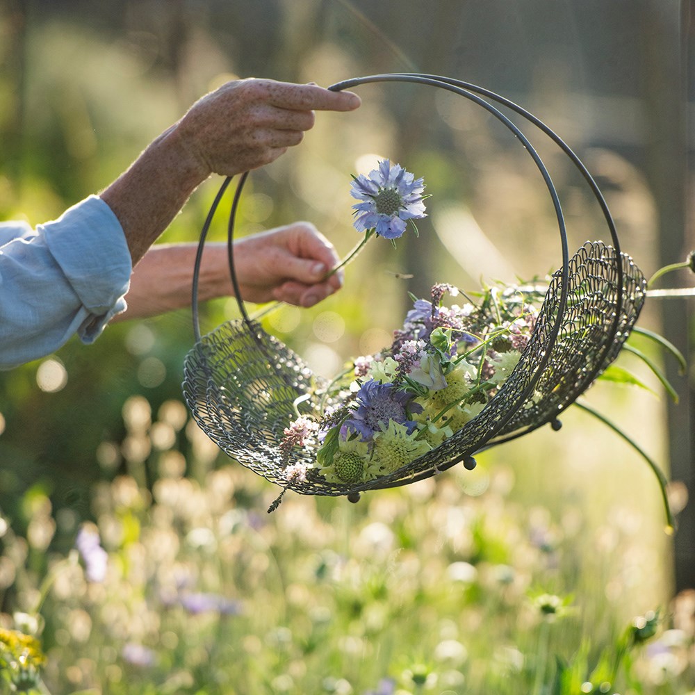 Sweet pea trug