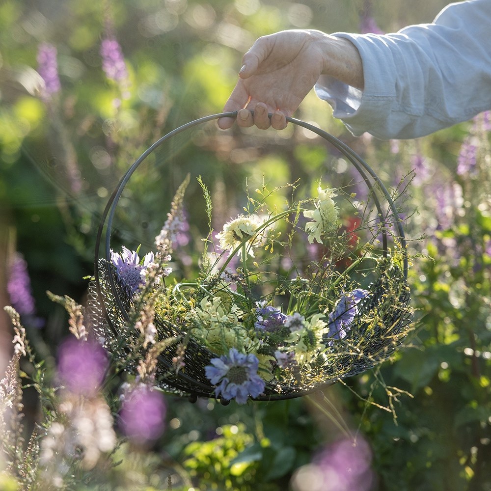 Sweet pea trug