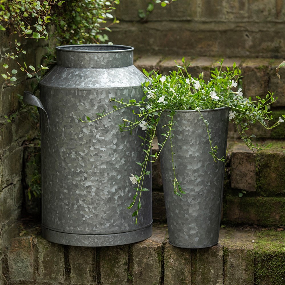 Dairy pot