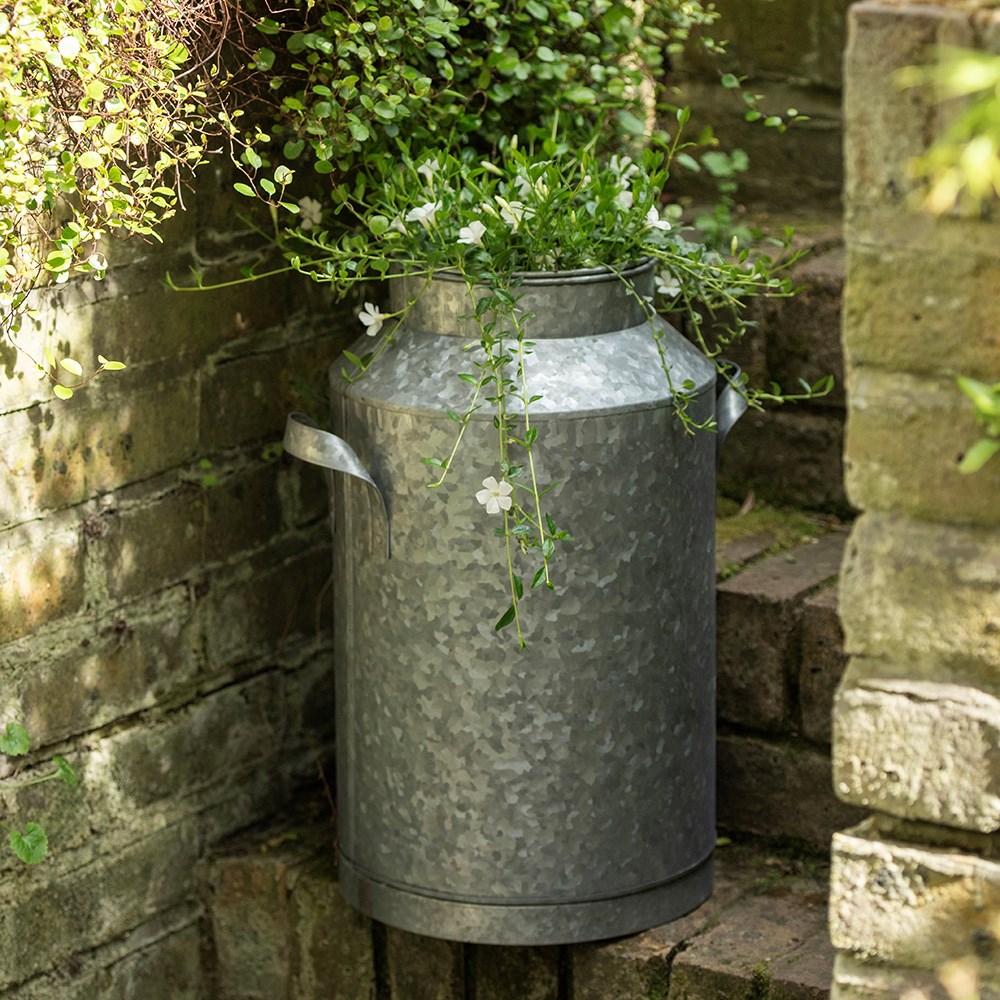 Dairy pot