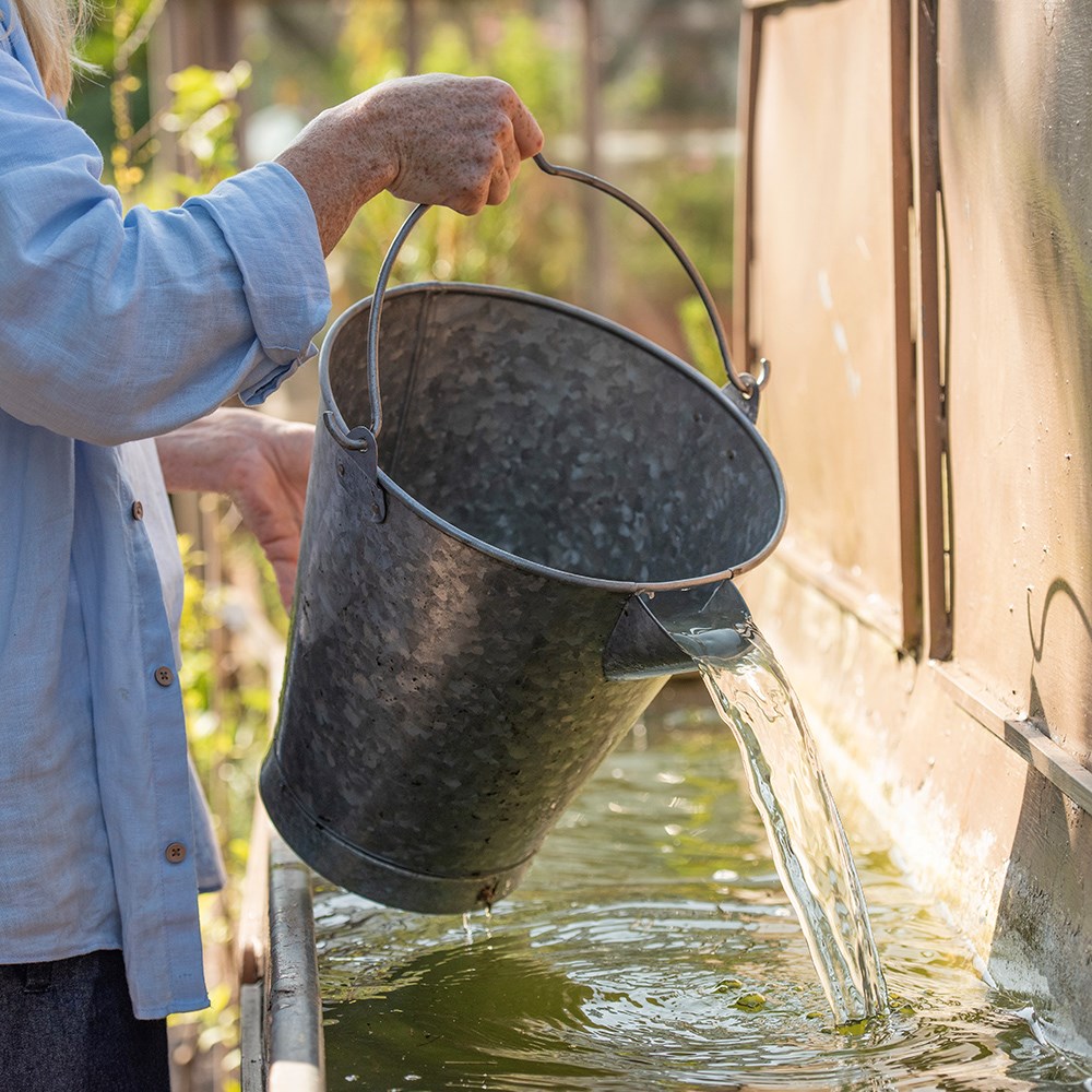 Dunk - the dip watering bucket