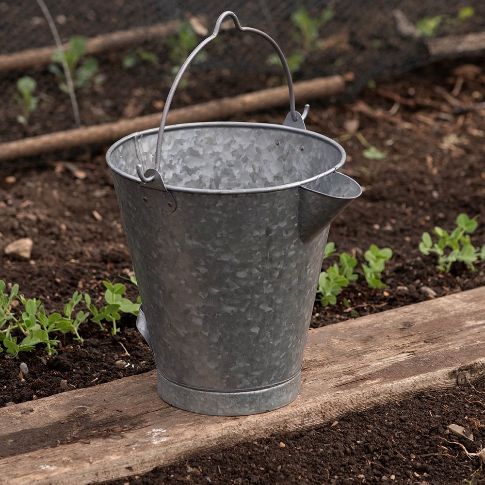 Dunk - the dip watering bucket