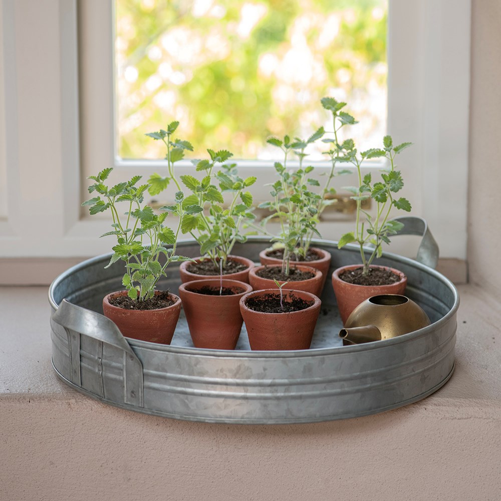 Galvanised metal tray