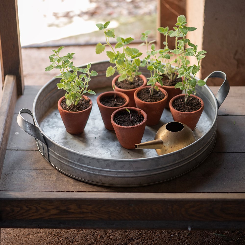 Galvanised metal tray