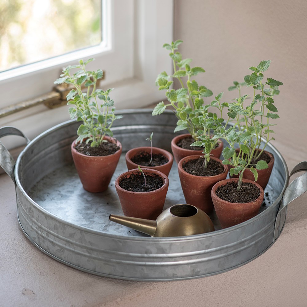 Galvanised metal tray
