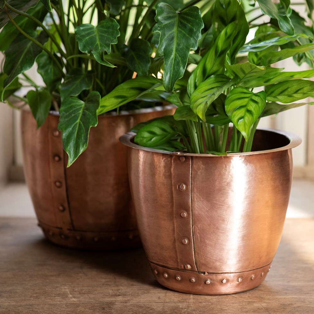 Riveted pot - brushed copper
