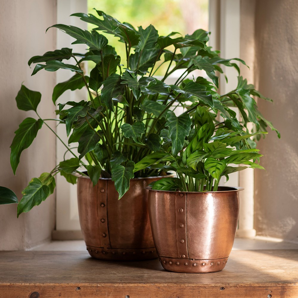 Riveted pot - brushed copper