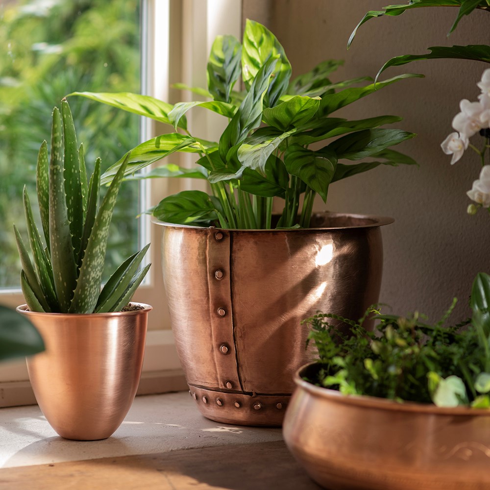Riveted pot - brushed copper