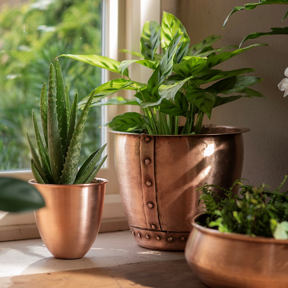 Riveted pot - brushed copper