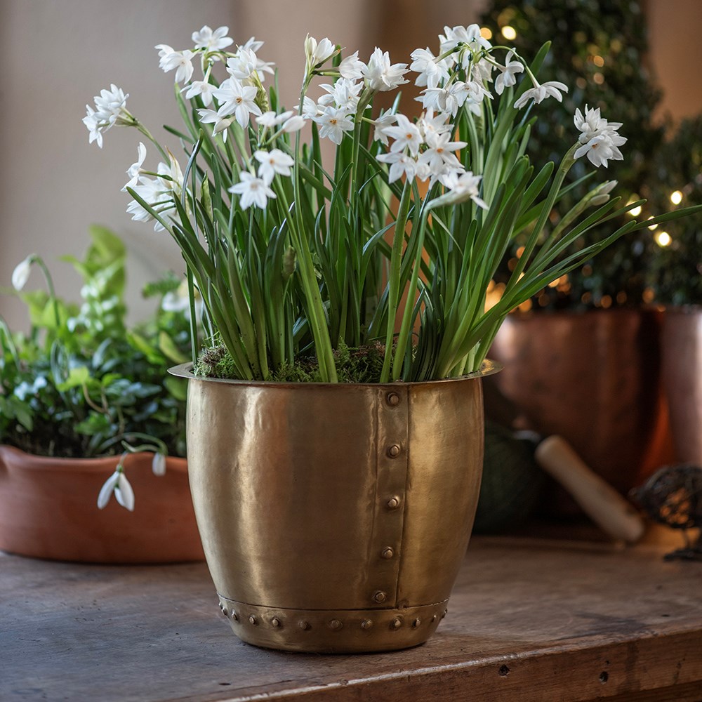 Riveted pot - brushed brass