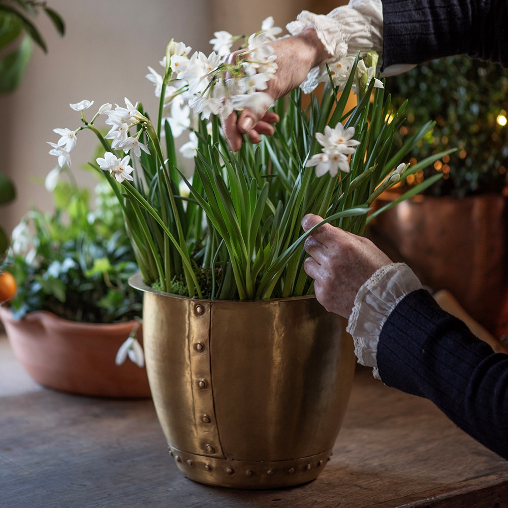 Riveted pot - brushed brass