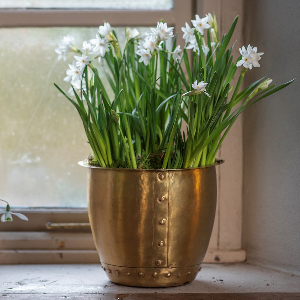 Riveted pot - brushed brass