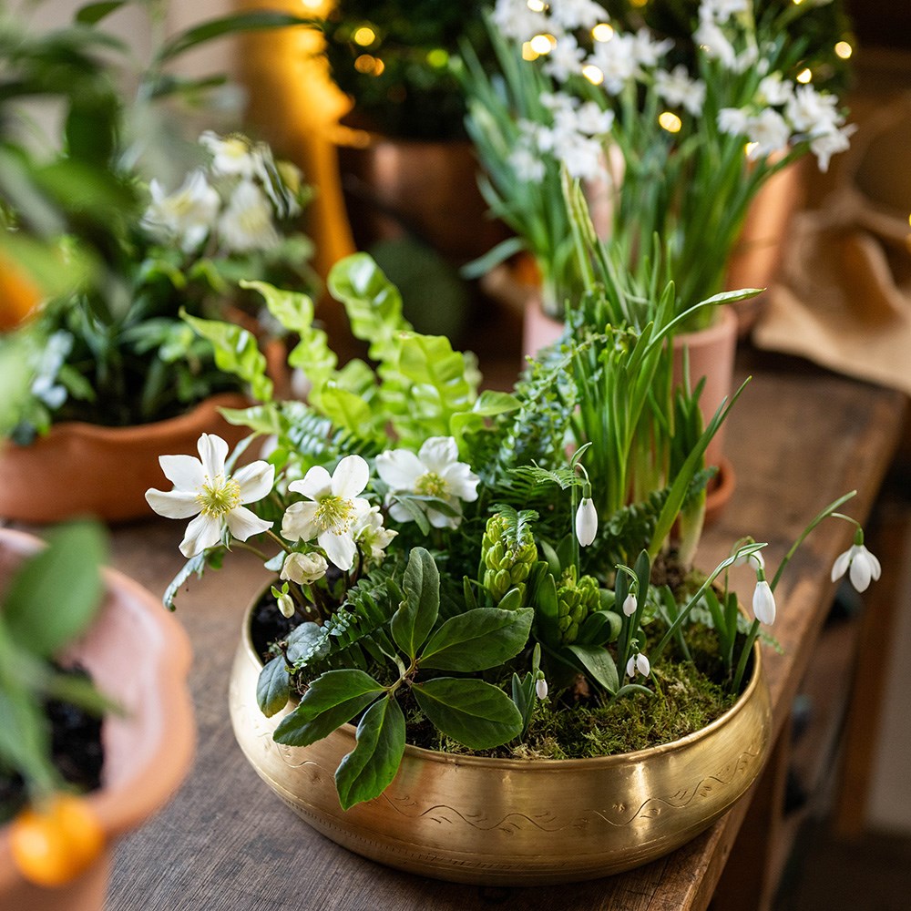 Traditionally etched brass bowl