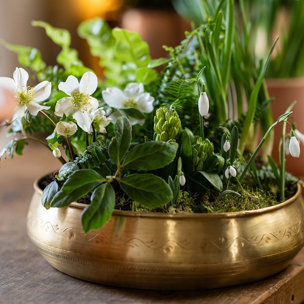 Traditionally etched brass bowl