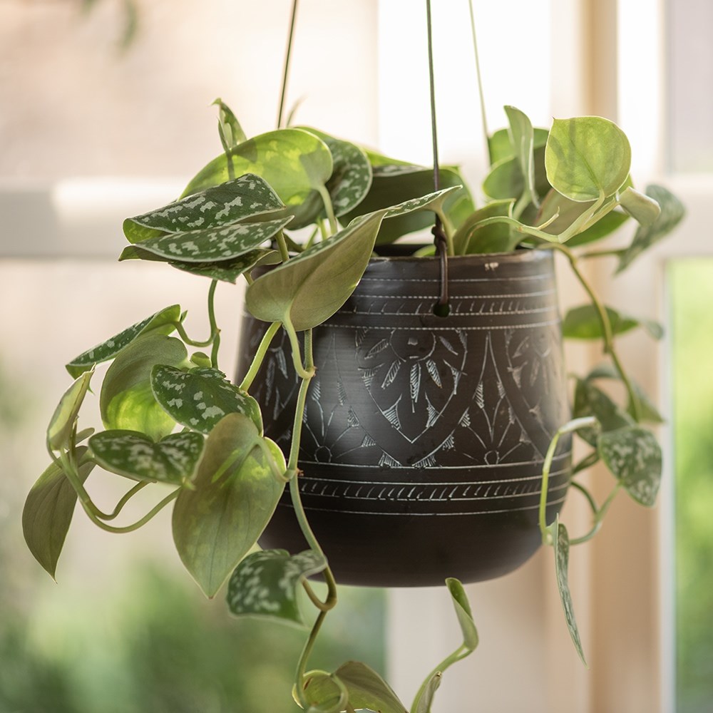 Traditionally etched black hanging pot 