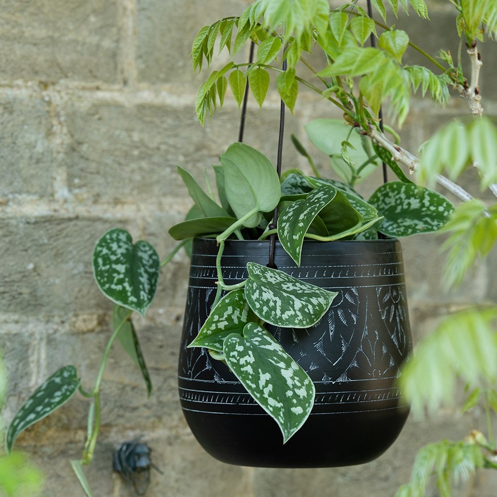 Traditionally etched black hanging pot 