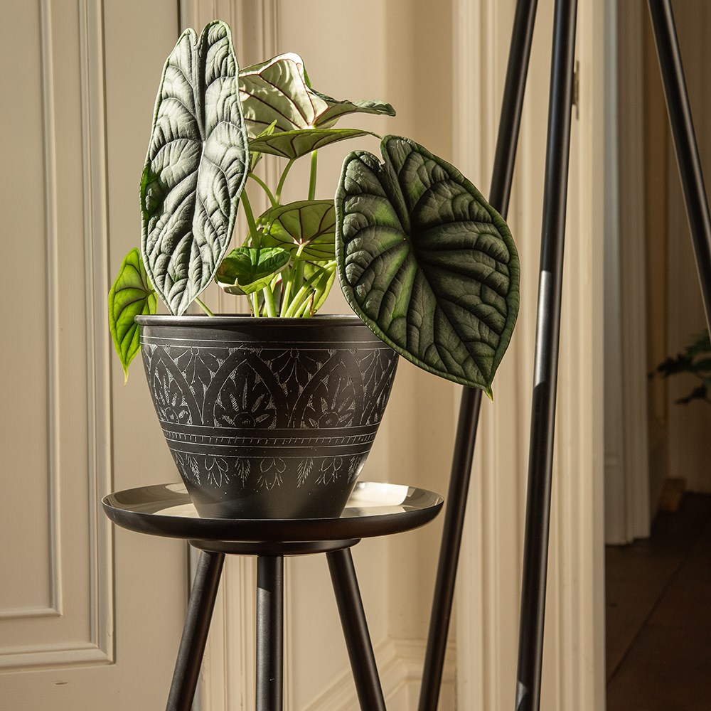Pot pedestal with enamelled tray