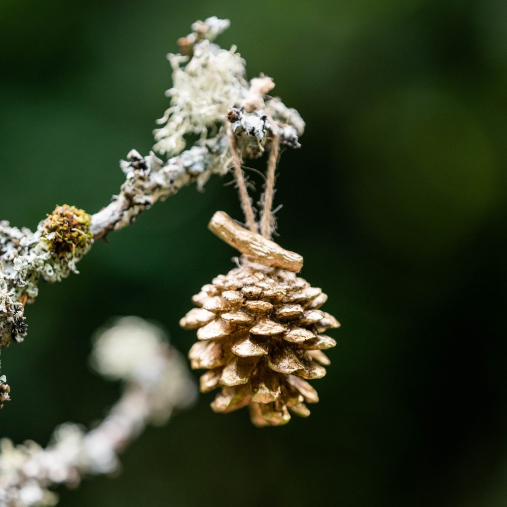 Two large golden pinecones