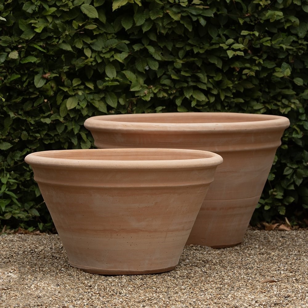 Terracotta dahlia pot