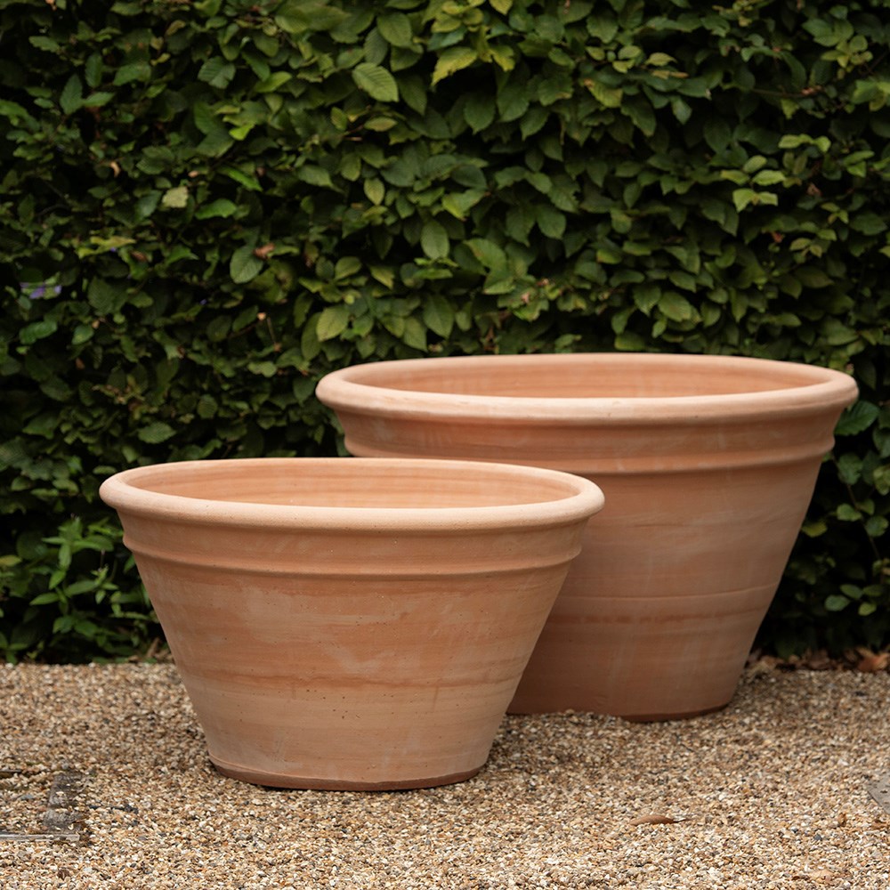 Terracotta dahlia pot
