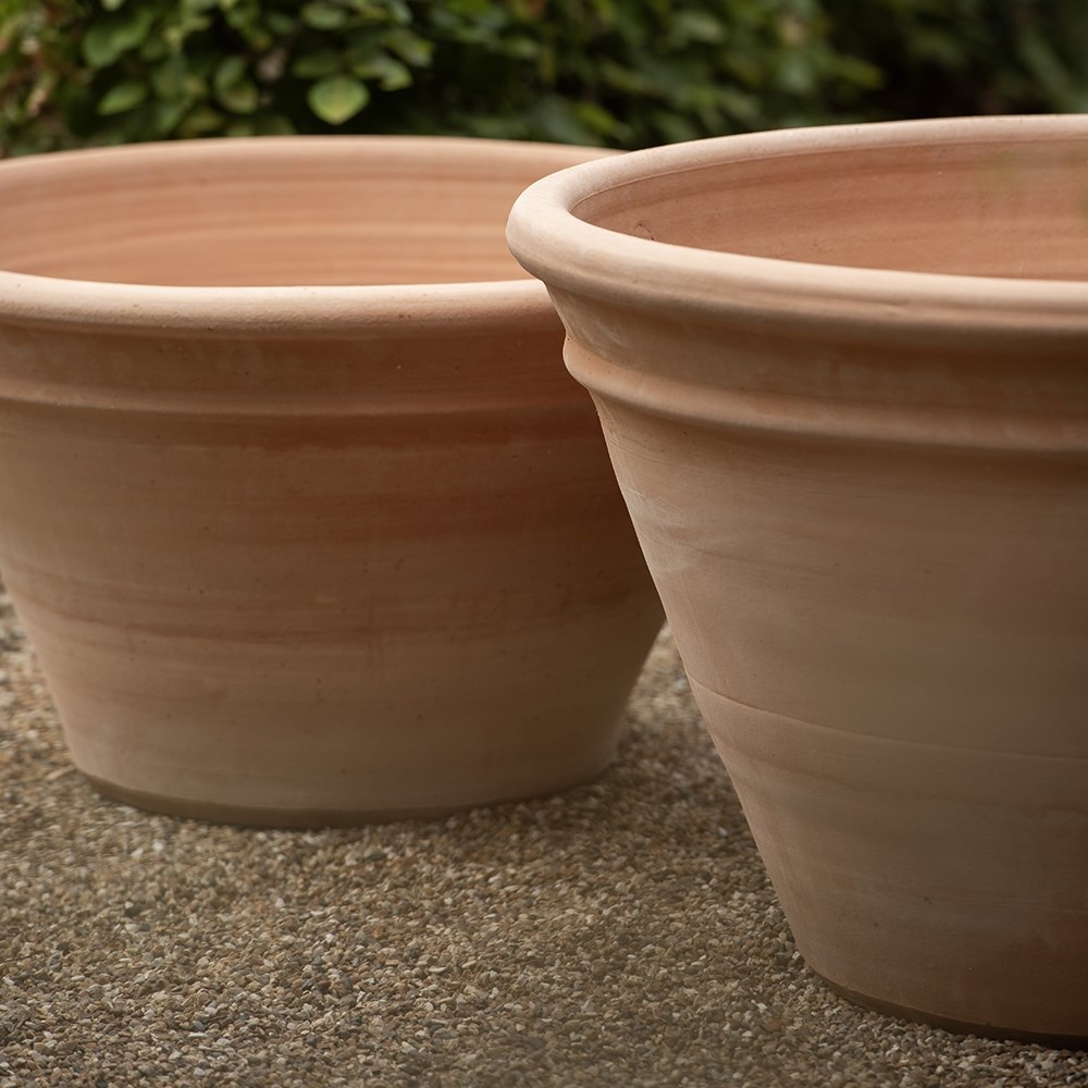 Terracotta dahlia pot