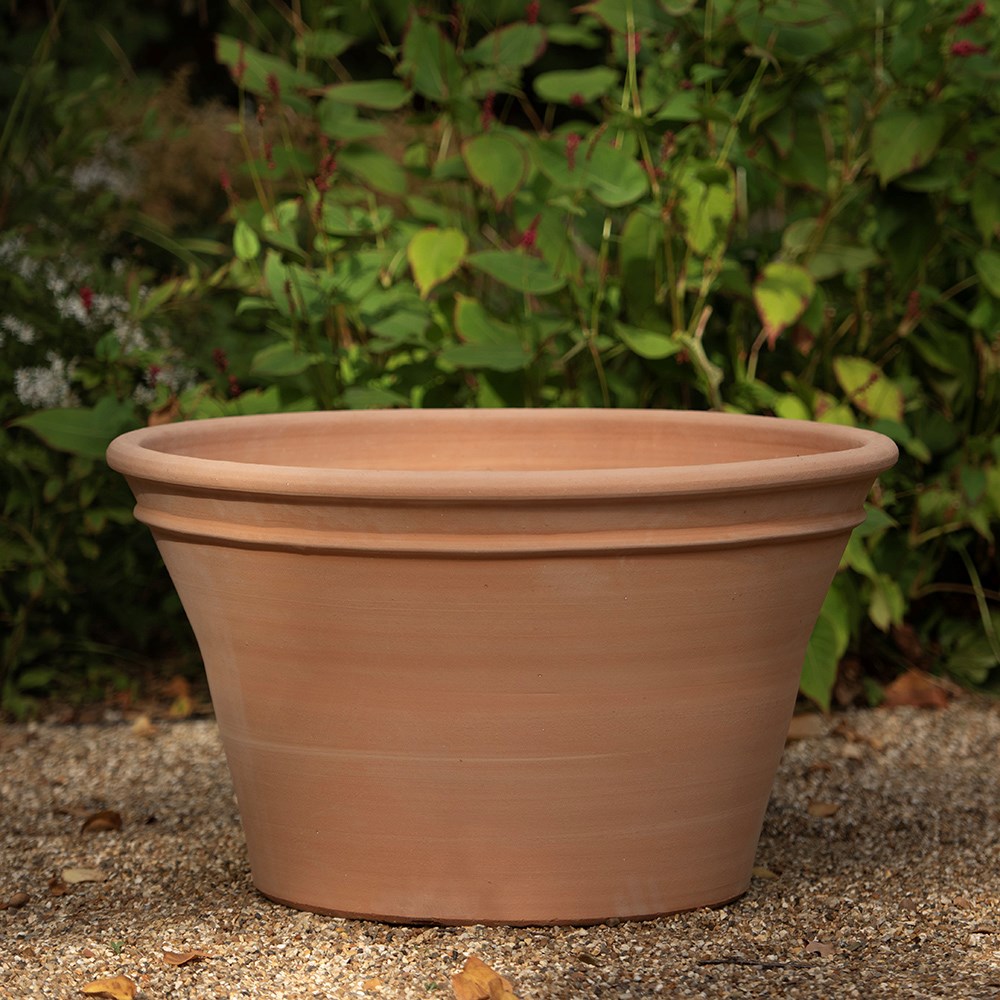 Terracotta hydrangea pot