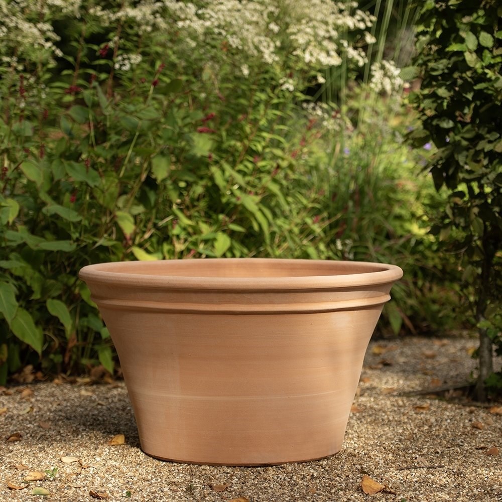 Terracotta hydrangea pot