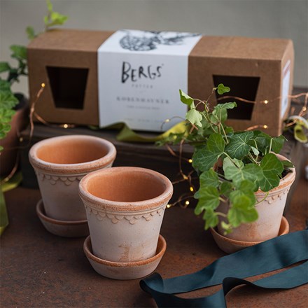 Bergs scalloped terracotta tapered plant pot with saucer set of 3 with gift box