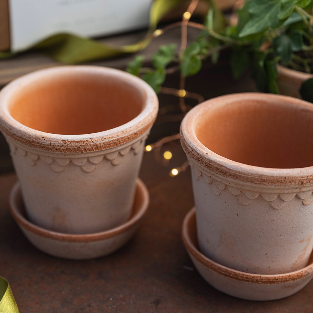 Bergs scalloped tapered plant pot & saucer set of 3 with gift box - terracotta