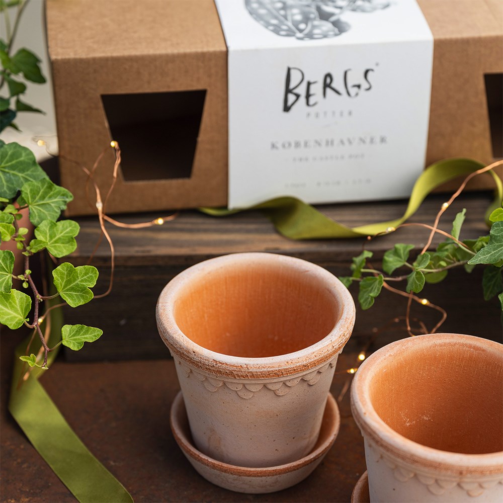Bergs scalloped tapered plant pot & saucer set of 3 with gift box - terracotta
