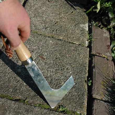 Patio weeder