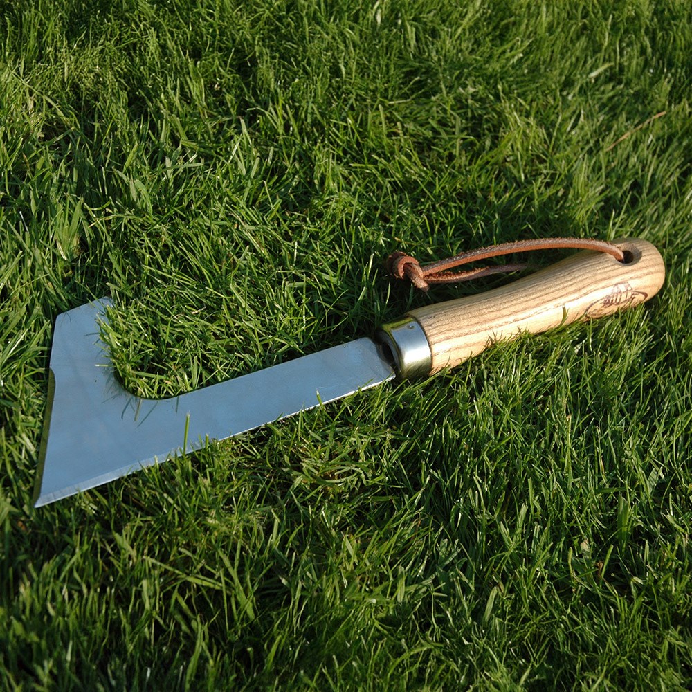 Patio weeder
