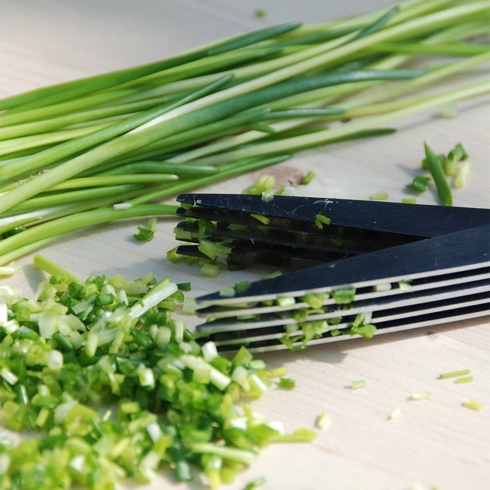 Herb scissors 