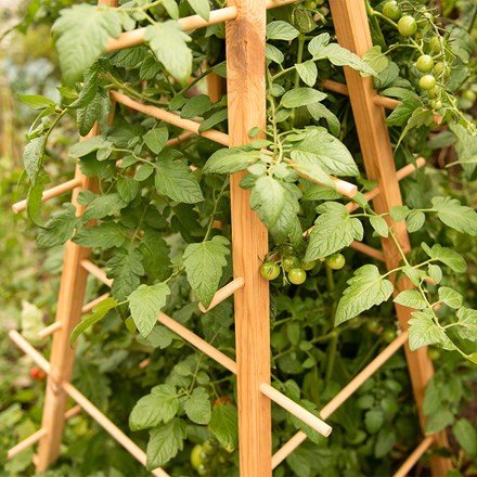 Wooden plant support pyramid