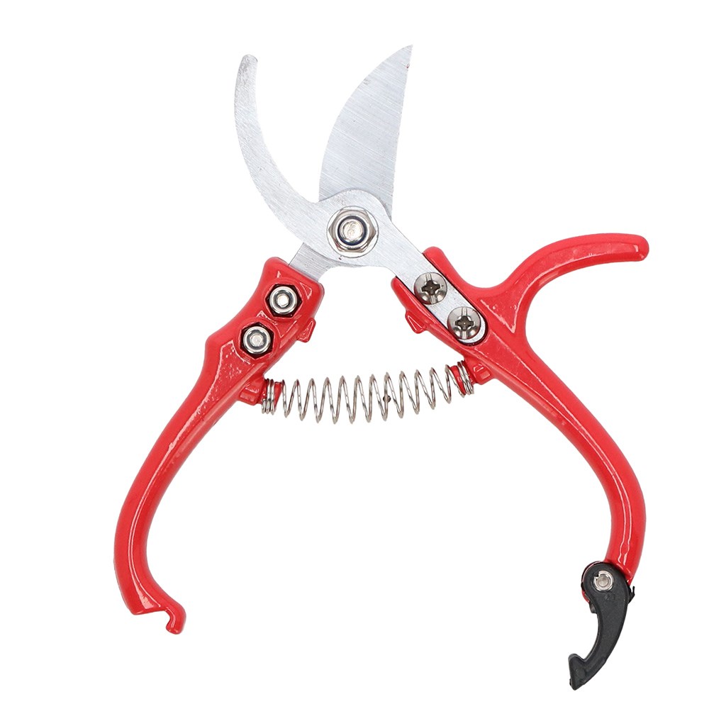 Rose pruners 