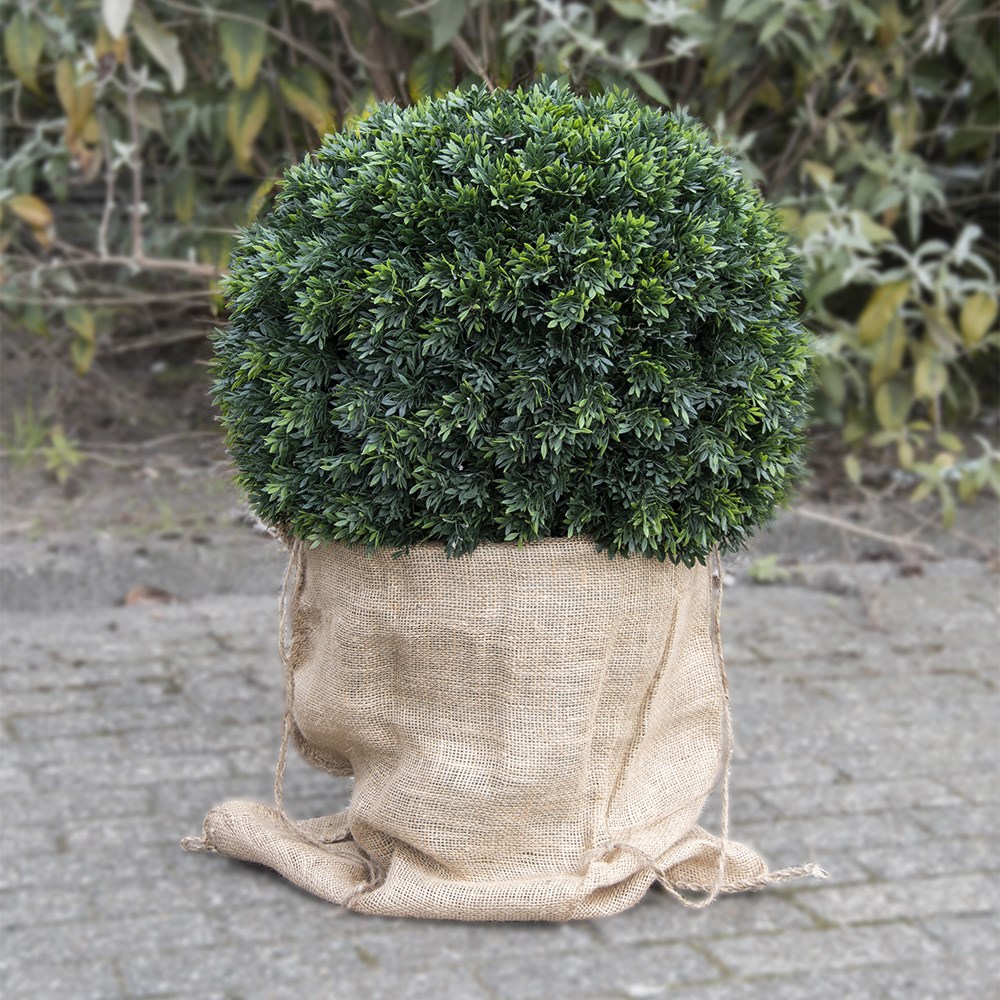 Jute plant bag 