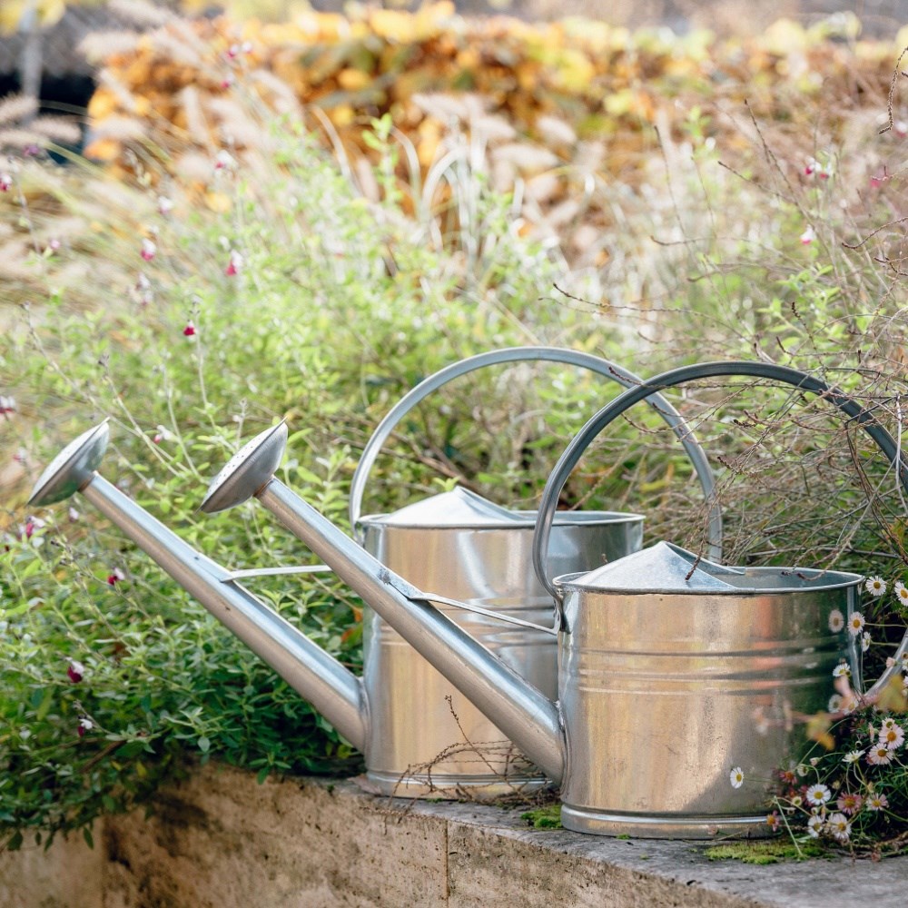 Zinc watering can
