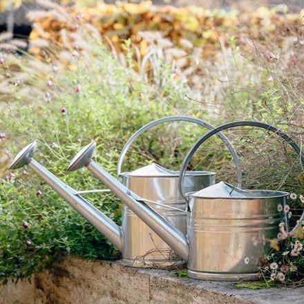 Zinc watering can