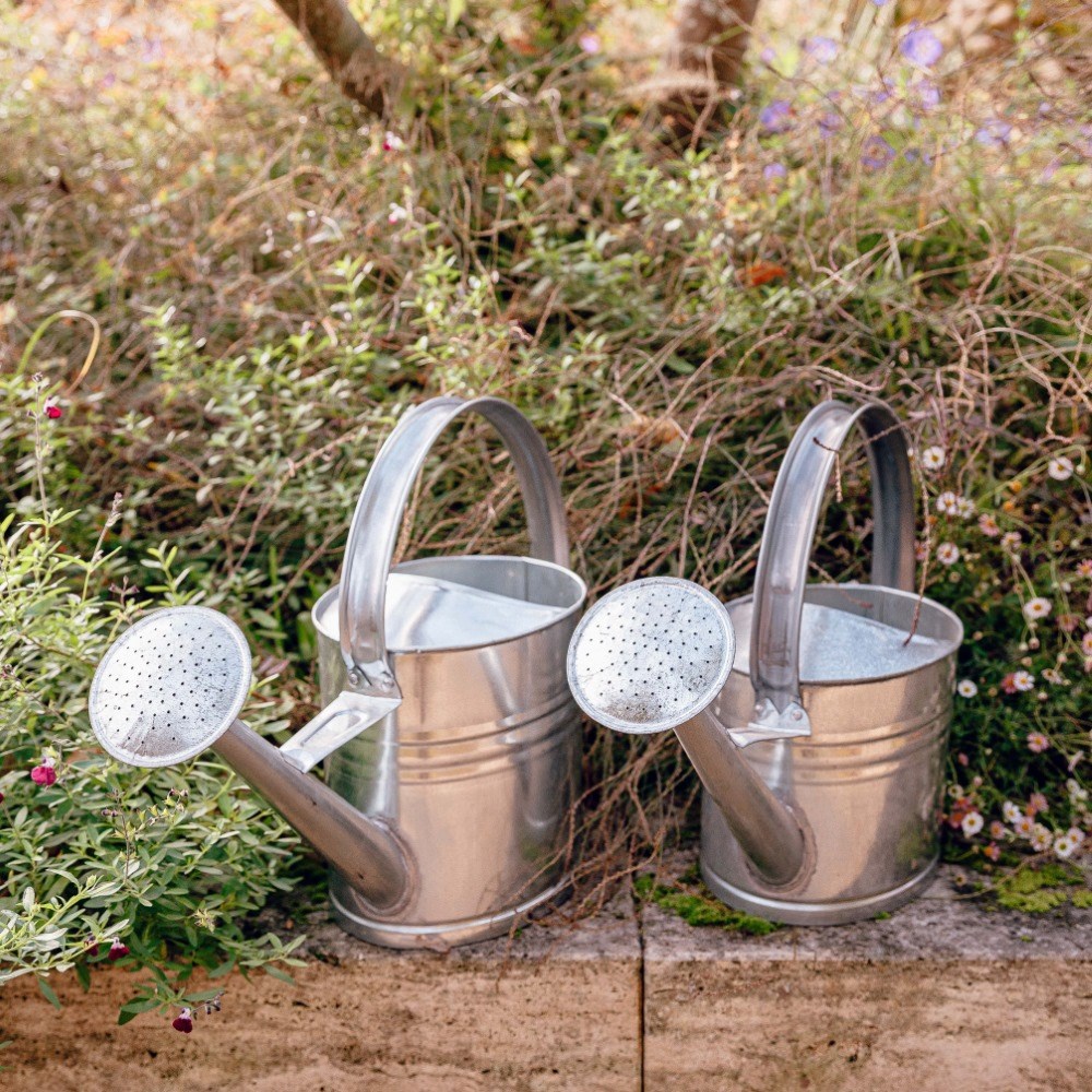 Zinc watering can
