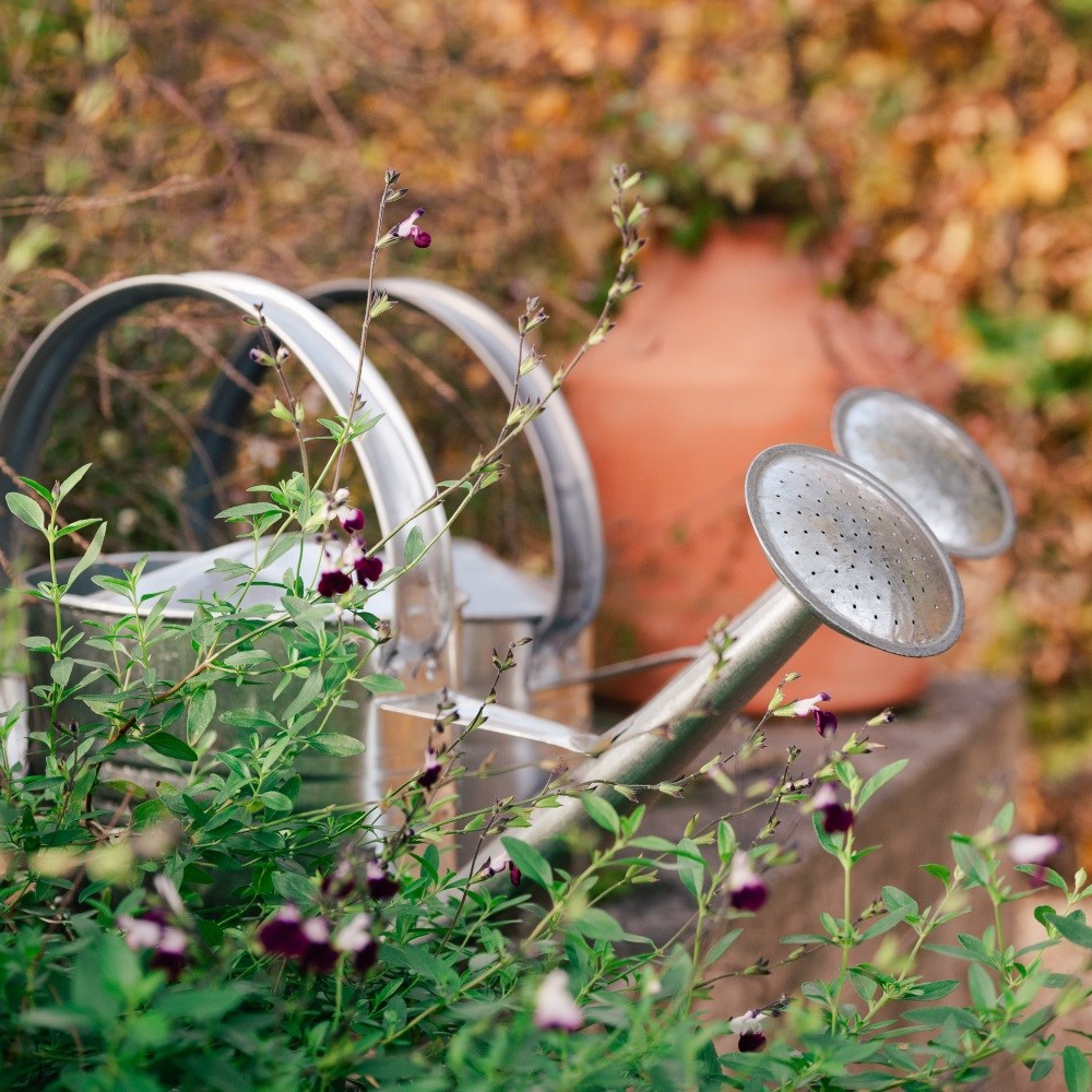 Zinc watering can